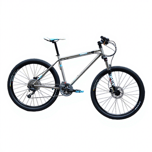 Bicicleta de Montaña Personalizada de Alta Calidad para Hombre Adulto, Horquilla de Aleación de Magnesio, Suspensión Completa, Cuadro de Cromoly, Frenos de Disco Hidráulicos <span class=keywords><strong>30</strong></span> - Product Image 1