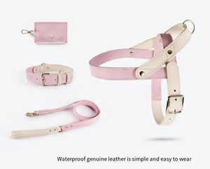 Nuevo conjunto de pecho y espalda de cuero de lujo para mascotas con función de ruptura Esquema de color rosa para entrenamiento y viaje diario de perros pequeños - Product Image 6