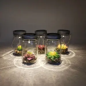 Gran oferta de jarro de vidrio para césped, luz solar de planta suculenta simulada decorativa
