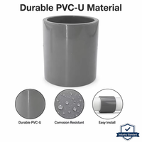 Raccord de tuyauterie CPVC haute température, manchon de couplage pour alimentation en eau, manchon de tuyauterie en plastique CPVC de 8 pouces pour la plomberie industrielle