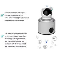 Regalos Novedosos, Generador de Hidrógeno a Batería de Estilo de Dibujos Animados para Jóvenes, Tecnología SPE/PEM, Hidrógeno para Exteriores y Hogar