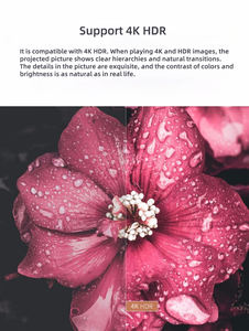 <span class=keywords><strong>Projecteur</strong></span> vidéo professionnel Yinzam <span class=keywords><strong>Optoma</strong></span> HD27HDR, <span class=keywords><strong>projecteur</strong></span> vidéo 1080P Full HD High Lumens avec prise en charge 4K HDR Full 3D Beamer - Product Image 5