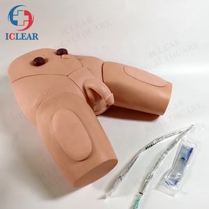 वरिष्ठ महिला जननांग कैथीटेराइजेशन चिकित्सा शिक्षण सिम्युलेटर - Product Image 4