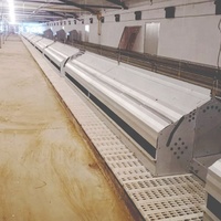 Nouvelles cages à poules d'extérieur en métal résistant aux intempéries pour la ponte des œufs – Équipement d'élevage