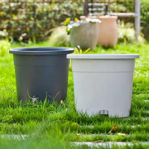 Maceta y macetas de plástico duradero de nuevo diseño para el hogar, oficina y jardín, decoración del hogar, maceta de estilo artístico - Product Image 5