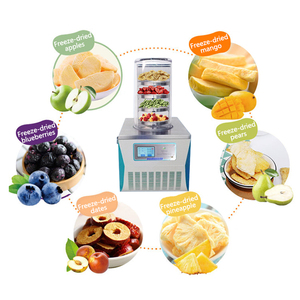 TOPT-10A Vente à chaud lyophilisateur équipement de séchage sous vide petit lyophilisateur séchage à froid - Product Image 2