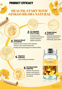 Capsule de Ginkgo Biloba naturel en gélule molle 1000mg, Complément de soutien du système sanguin de haute qualité, Non-OGM et certifié Halal - Product Image 4