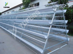 Jaula para Pollos Tipo A, Jaula de Batería para Aves de Corral, Equipo para Granjas Avícolas para 2000 Pollos con Bebederos Automáticos - Product Image 5