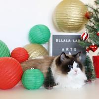 [Je suis vos FANS] lanternes décoratives de noël colorées suspendues lanternes en papier chinois pour les vacances et la célébration