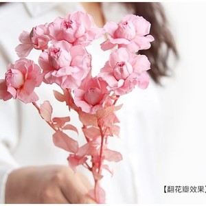 Rose naturelle préservée multi-têtes avec tige, roses éternelles en spray chocolatées pour la décoration intérieure et les arrangements de bouquets de mariage - Product Image 4