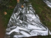 Film métallisé en aluminium réfléchissant pour éclairage solaire / Film réfléchissant métallique argenté