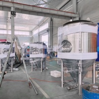 Cuve de Fermentation Conique Personnalisable 600L avec Manhole Latéral et Isolation par Chemise à Puits, Équipement de Fermentation