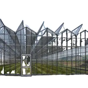 Kas Hoge Kwaliteit Polycarbonaat Kas Apparatuur Pc Groene Huizen Voor Landbouw Growin