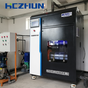 220V 800g/H 소금물 전기분해 염소 발생기, 펌프 모터 엔진 베어링을 갖춘 1년 보증 차아염소산나트륨 생성기 - Product Image 4