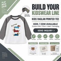 T-shirt à manches longues raglan pour tout-petits garçons, imprimé chien, avec boutons-pression, sous-vêtement, haut pour enfants, fournisseur de vêtements en gros OEM ODM