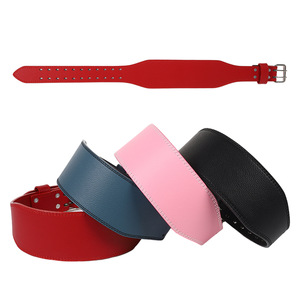Cinturones de Levantamiento de Pesas, Accesorios de Gimnasio, Cinturón de Soporte Lumbar para Levantamiento de Pesas para Mujeres - Product Image 4