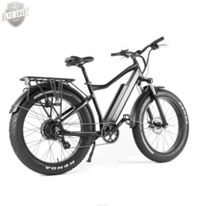 <span class=keywords><strong>ELYX</strong></span> ES019 2020 new 500W/750W 26 inch 80KM wholesale electric mountain bike electric bicycle wholesale bicycle tire - Product Image 3