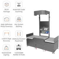 Solución de Clasificación de Paquetes para Almacenes Pequeños, Transportador Automático en Forma de Z con Capacidad de Carga de 10 kg y DWS