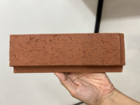 Mur suspendu à sec en brique de clinker de façade de villa moderne 80*225*25mm Alternatives sèches humides multicolores externes en brique d'argile glissante humide