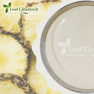 Bromelain Powder Pure Food Enzyme | Enzima de alta calidad para la digestión de proteínas y aplicaciones nutricionales | Proteasa ácida - Product Image 1