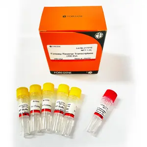 Lab Reagent Foreasy M-MLV Reverse Transcriptase Enzymen For RT PCR Reaction Factory Price