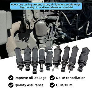Kit suspensi kantong udara, penyangga depan penyerap guncangan kantong udara untuk <span class=keywords><strong>Nissan</strong></span> Anne Lion - Product Image 5