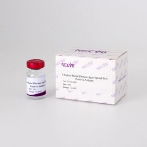 전염성 Bursal 질병 (IBD) <span class=keywords><strong>AGP</strong></span> 양성 혈청-한천 젤 면역 확산 검사용, 높은 항체 역가, OIE 표준 - Product Image 1