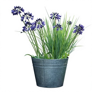 Jardinières Amson en laiton de haute qualité, classiques, en fer galvanisé, écologiques, pour usage extérieur, jardin, patio, pots à fleurs coniques à anneau - Product Image 1