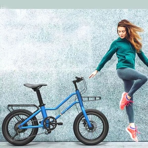 Bicicleta Eléctrica Plegable de Alta <span class=keywords><strong>Calidad</strong></span> Changzhou Hoya de 250W, 20 Pulgadas, Aleación de Aluminio, Batería de Litio, <span class=keywords><strong>Mejor</strong></span> <span class=keywords><strong>Precio</strong></span> - Product Image 5
