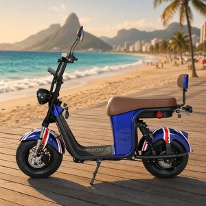 2000W 60V 20AH Scooter No Gasoline 60km Range 200kg Load Fat Tire Economic <b>Motorcycle</b> - Product Image 1