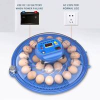 Incubateur automatique à double alimentation pour 52 œufs, machine à couver les œufs