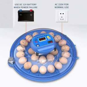 Incubateur automatique à double alimentation pour 52 œufs, machine à couver les œufs - Product Image 5