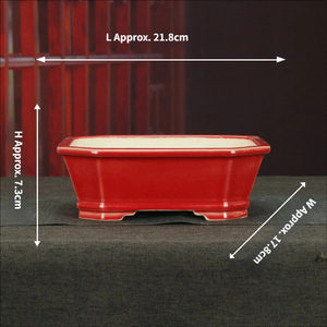Pot de fleurs en argile violette émaillée, décoration rétro <span class=keywords><strong>hexagonale</strong></span> sur pied ou sur table pour plantes succulentes et bonsaïs - Product Image 5