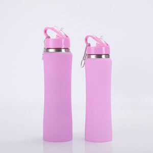 Outdoor Self Driving Travel Water <b>Bottle</b> 600ml <b>750ml</b> Stainless Steel Vacuum Insulated Sports <b>Bottle</b> Straw Leakproof Lid Reusable - Product Image 2
