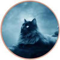 Moneda Conmemorativa de Cobre Puro 999 con Diseño Personalizado, Perfil de Gato Negro Elegante de 1oz, Recuerdo Conmemorativo Personalizado para Mascotas