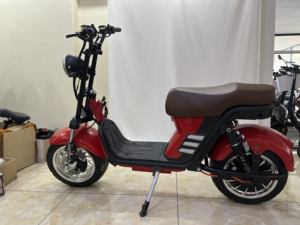 Scooter <span class=keywords><strong>moto</strong></span> Citycoco QS Brand Motor <span class=keywords><strong>EVE</strong></span> Battery Cell pour les routes européennes - Product Image 6