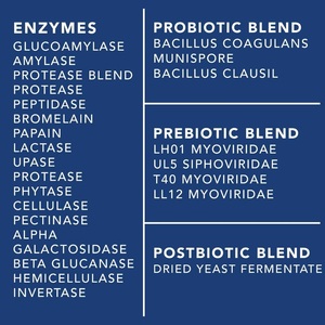Suplemento Completo para <span class=keywords><strong>la</strong></span> Salud Intestinal, Prebióticos, Probióticos y Enzimas Digestivas, 60 Cápsulas Vegetales, Certificado GMP, Sin GMO, Suministro a Granel - Product Image 4