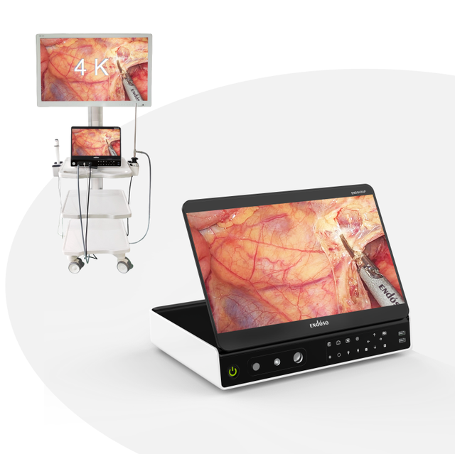All in One UHD Endoscopy Camera System with 80W LED Light Source USB Recorder for ENT Laparoscopy Urology Arthroscopy Surgery