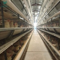 HIGHTOP peralatan pertanian unggas tipe H, kandang ayam betina lapisan kandang ayam dengan penghilang pupuk otomatis dijual di Filipina