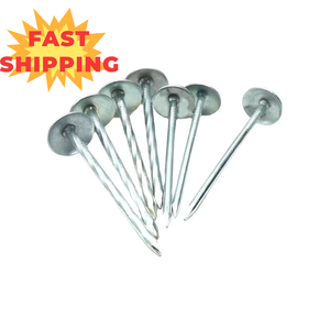 Clous de toiture ondulés galvanisés de haute qualité au prix <span class=keywords><strong>d</strong></span>'usine pour la construction 2,5 pouces * Bwg 9 - Product Image 4