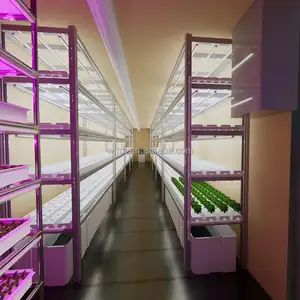 Tarım ürünleri dikey kule hydroponics marul nft kanal konteyner tarım sera yeşillik sebze için