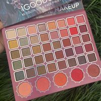 Fábrica al por mayor personalizado nuevo 45 Color sombra de ojos placa mate perla luz grande color de tierra cartón cosméticos caja de exhibición