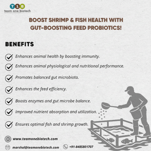 Probiotique d'aliment d'enzymes d'intestin d'aquaculture améliorant la qualité de l'eau - Product Image 1