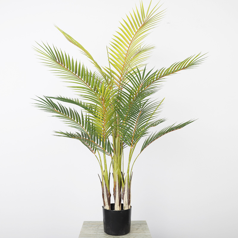 1.3-meter pole, 19-leaf bicolor areca palm
