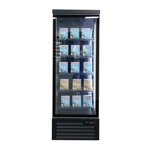 Congélateur vertical commercial de <span class=keywords><strong>500</strong></span> <span class=keywords><strong>litres</strong></span>, vitrine à crème glacée, congélateurs pour aliments congelés - Product Image 3