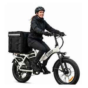 Bicicleta Eléctrica de Carga de Alta Velocidad con Motor, Neumático Grueso de 20 Pulgadas, 128 km de Autonomía, para Entrega de Alimentos, Venta al por Mayor - Product Image 1