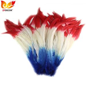 Proveedor Líder ZPDECOR, Venta al por Mayor de Plumas de <span class=keywords><strong>Gallo</strong></span> Teñidas en Dos Colores de 30-35 cm para Diseño de Disfraces de Carnaval - Product Image 1
