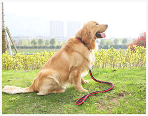 Pet Nylon Braided Thick Woven Rope Slip <b>Lead</b> <b>Dog</b> Leash and Collar <b>Chain</b> for Medium Large <b>Dog</b> - Product Image 6