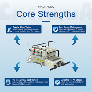 Estanques de Peces con Sistema RAS Integrado de 15-20T/<span class=keywords><strong>h</strong></span> para Piscicultura, Larga Vida Útil para Producción Comercial de Peces - Product Image 2