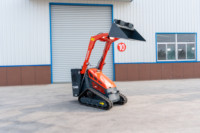 Chargeurs compacts sur chenilles à moteur EPA personnalisés, à essence, avec accessoire cisaille à arbres